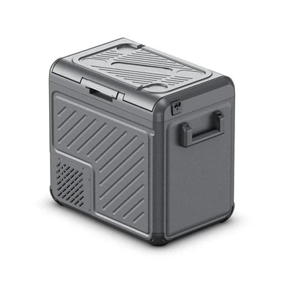 55L ثلاجة صغيرة محمولة للسيارة