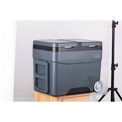 ثلاجة سيارة محمولة 12V